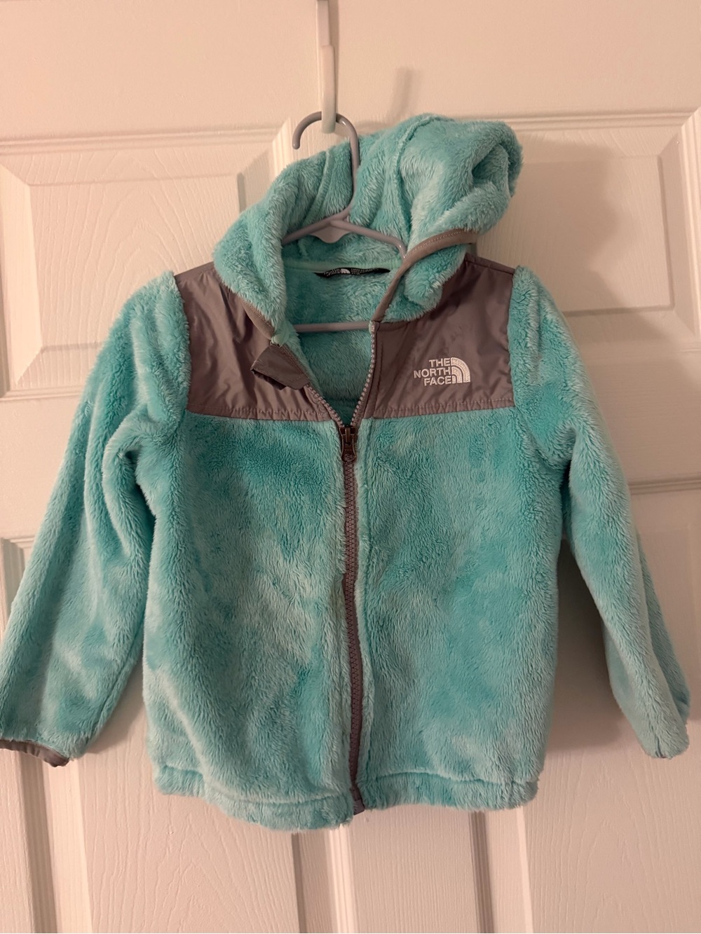 The North Face Kids Turquoise Hooded Puffer Fleece Jacket with Gray Yoke